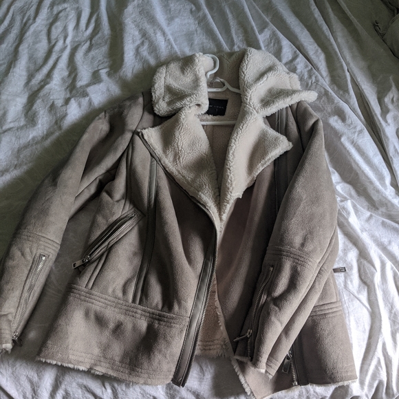 Next Jacket - Picture 5 of 5